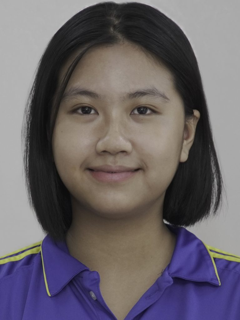11A1 Mỹ Kim copy